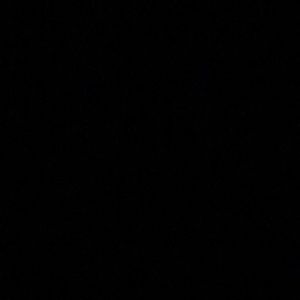 Meet your Posher, Delaney